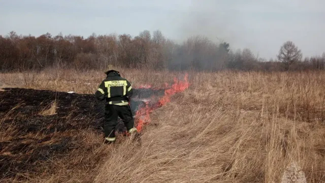 В трех районах Ивановской области горела трава