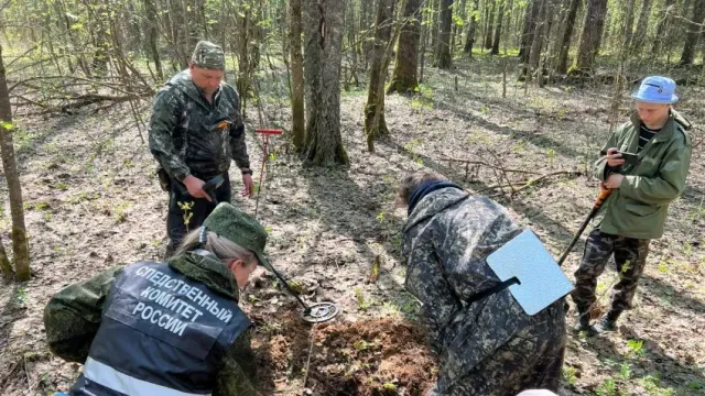 В Смоленской области ивановцы обнаружили останки бойца Красной Армии