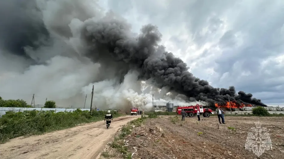 В Ивановской области сгорела птицефабрика В Ивановской области сгорела птицефабрика