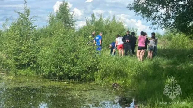 Из искусственного пруда в Шуе подняли тела двух человек