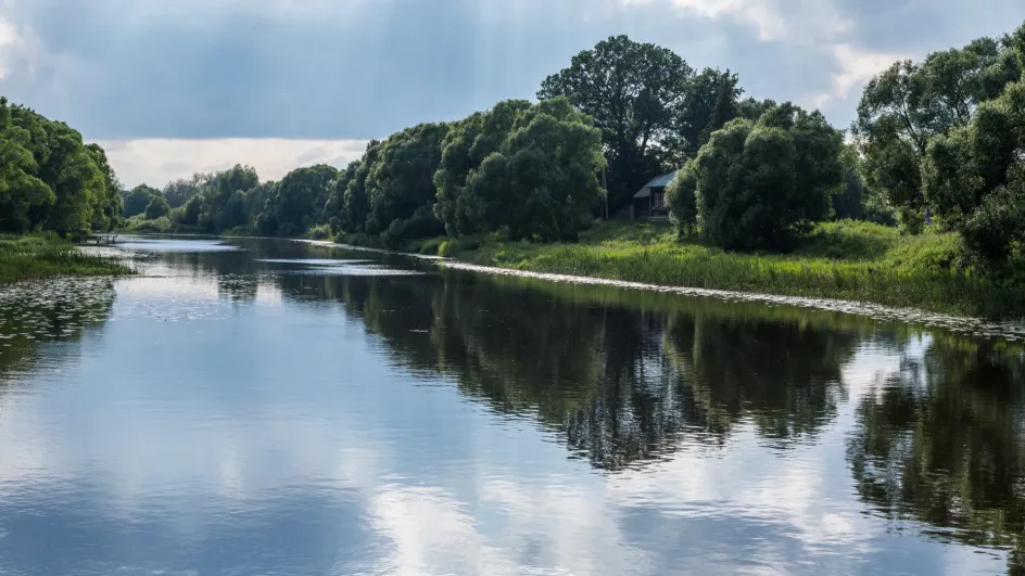 В Холуе начнут работы по очистке русла реки Теза