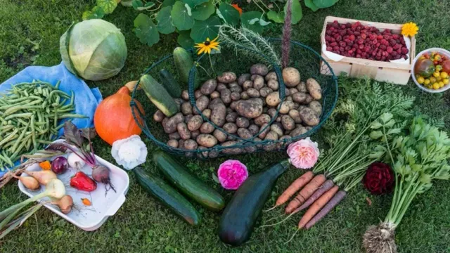 Какие овощи ни в коем случае нельзя сажать рядом на даче