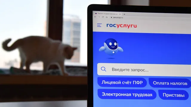 В Ивановской области появилась запись в МФЦ через робота Макса