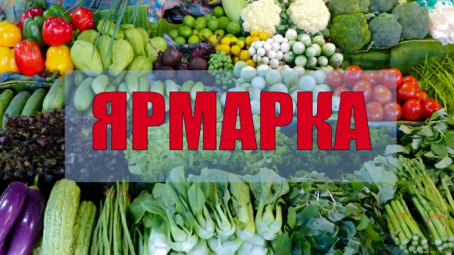 В Иванове прошел Фестиваль фермерских продуктов, приуроченный к 8 марта