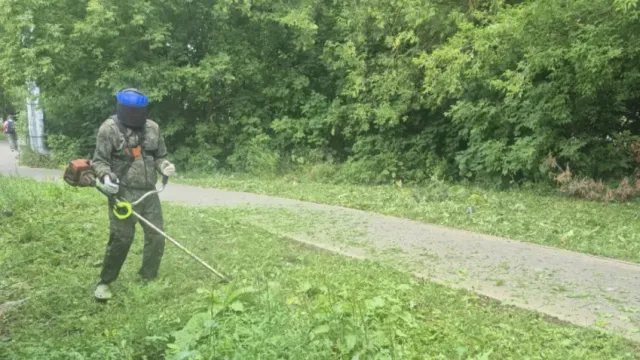 В Иванове завершается второй этап покоса травы на городских улицах