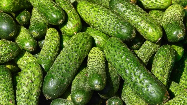 Экономист ошарашил: эти продукты скоро станут бесплатными!