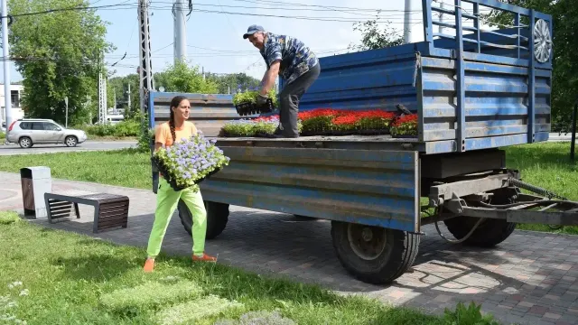 В Иванове готовятся к масштабному озеленению города