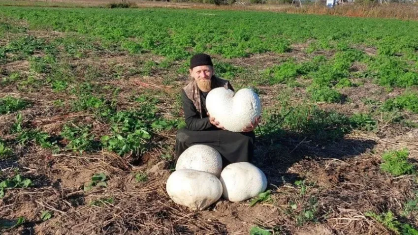 Порно Монашек с большими сиськами