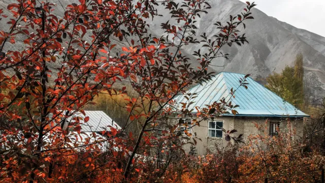 Твой дачу ждет кошмар: Не закрывай её на зиму!