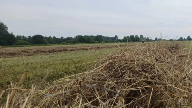 Аграрии Ивановской области заготовили половину кормов на зиму