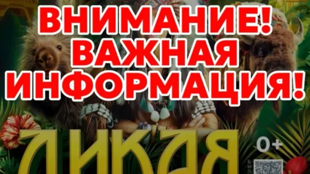 В Иванове цирк прекращает работу из-за отключений интернета