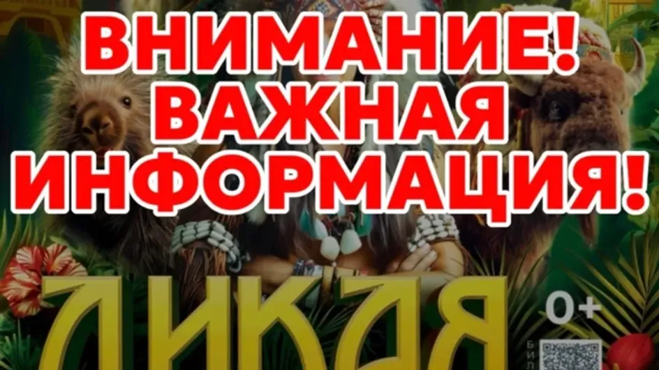 В Иванове цирк прекращает работу из-за отключений интернета В Иванове цирк прекращает работу из-за отключений интернета