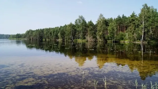 По факту сбору денег за проезд к Святому озеру возбуждено уголовное дело за мошенничество