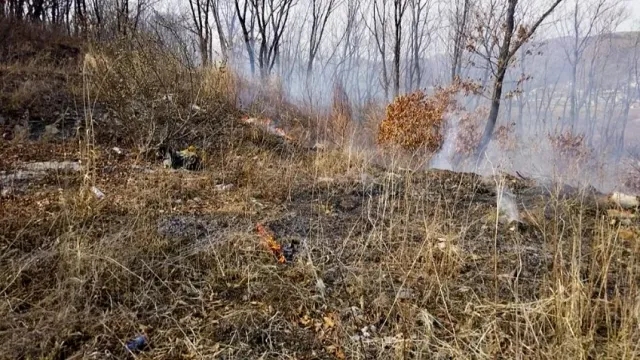 C 21 апреля в Ивановской области будет действовать особый противопожарный режим