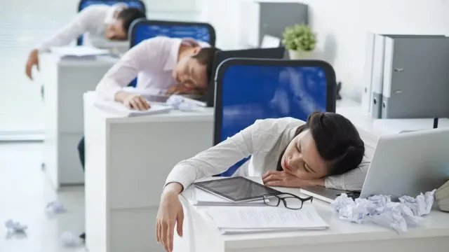 Сон на работе — это нормально?! Эксперты говорят «да»!