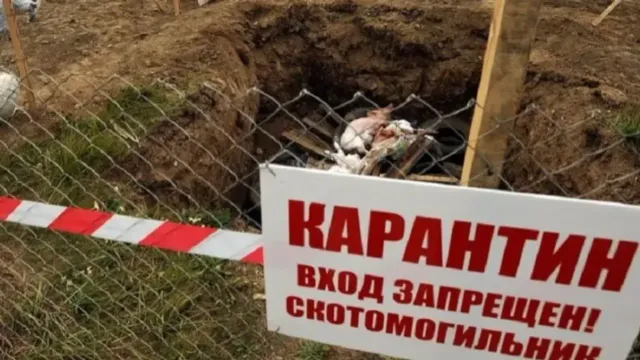 Правительство Ивановской области обязано взять себе могильники с язвой