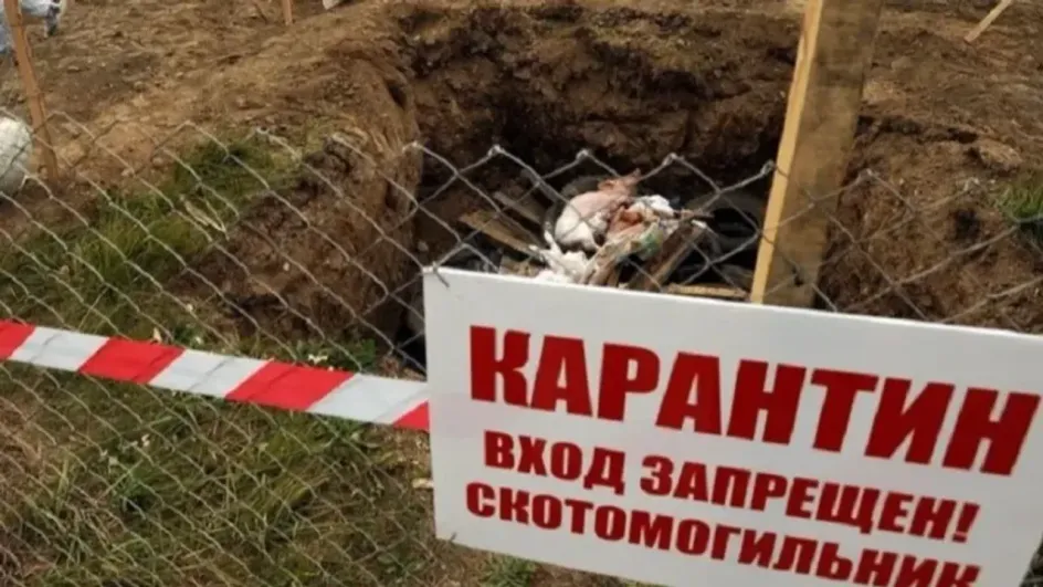 Правительство Ивановской области обязано взять себе могильники с язвой