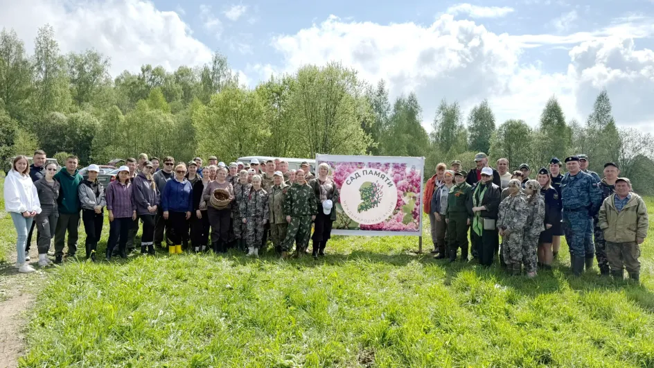 Сад Памяти пополнили тысячи елей в Родниковском районе