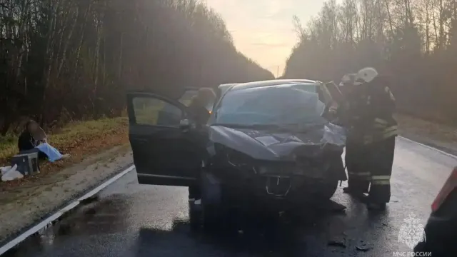 Три человека погибли в лобовом столкновении на трассе в Юрьевецком районе