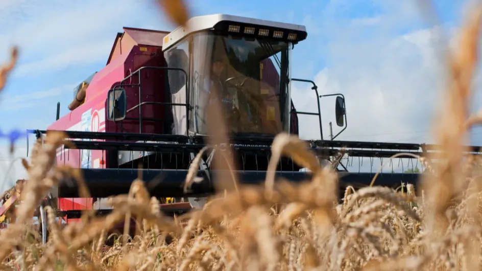 Аграриям Ивановской области помогут за успехи с зерном