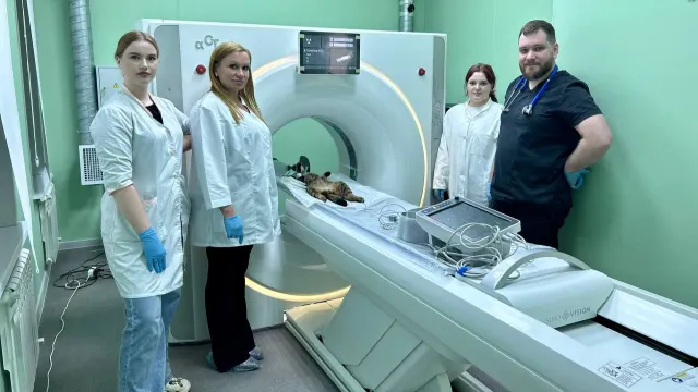 Ивановский агровуз развивает одну из лучших ветклиник Центральной России