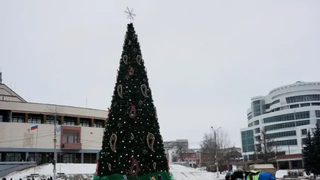 В Иванове начали устанавливать новогоднюю елку на пл. Пушкина