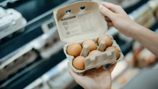 Вас обманывают! Что скрывают цены на яйца?