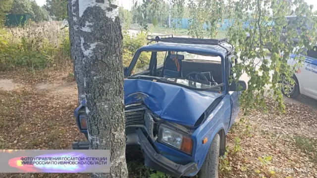 В Гав.-Посадском районе пьяный проиграл в споре с деревом