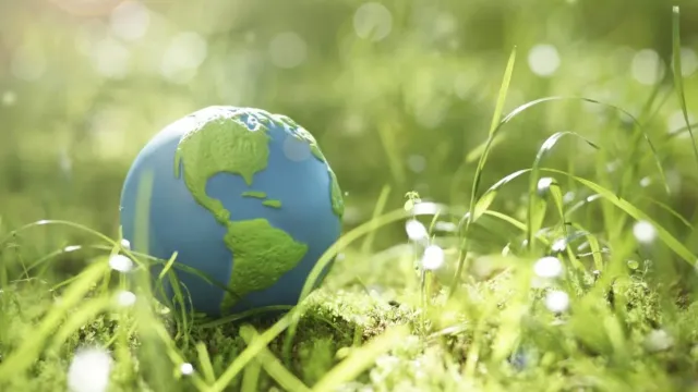 Экологические акции и мероприятия по случаю Дня эколога проходят в Ивановской области