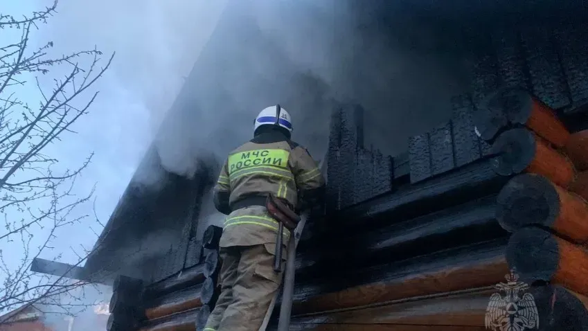 В Пестяковском районе в результате пожара погибли двое телят