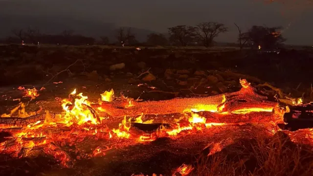 В Ивановской области зафиксировано снижение количества лесных пожаров