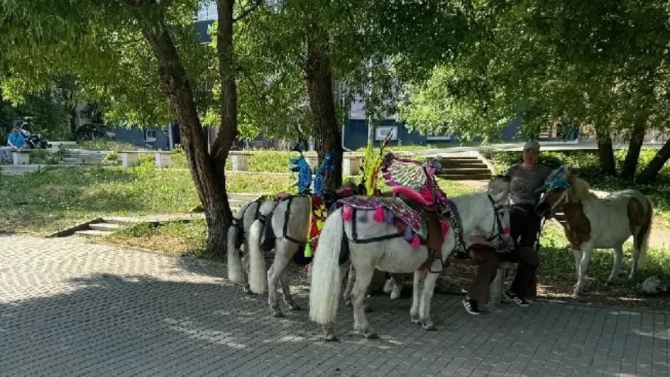 Ивановцы возмущены лошадиным навозом на тротуарах в центре города