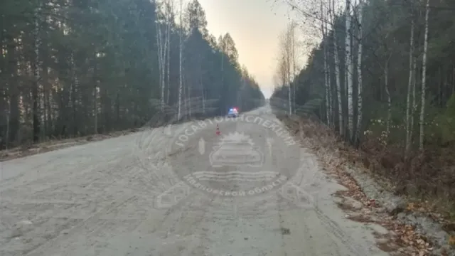 В Южском районе юный пьяный питбайкер врезался в юного пьяного мопедиста
