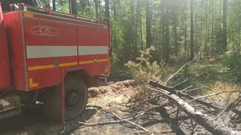 В Пестяковском районе 11 человек тушили крупный лесной пожар почти три часа