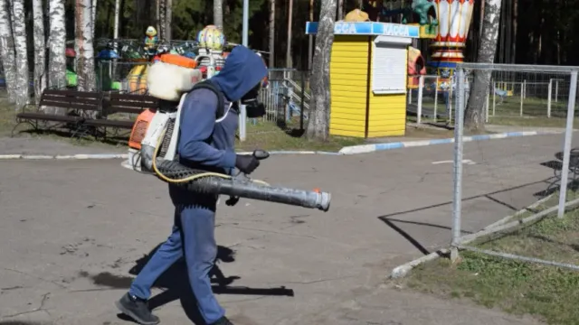 В Иванове начали обработку парков от клещей