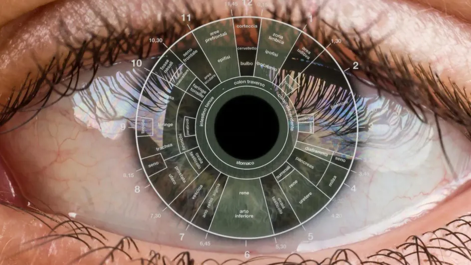 Россиян вскоре начнут идентифицировать по радужке глаза