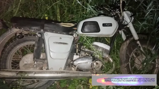 В Ивановской области в ДТП пострадали три подростка и лось