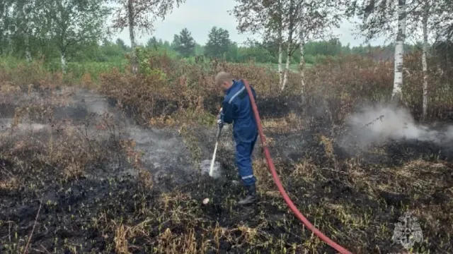 На тушение торфяного пожара в Тейковском районе ушло более семи часов
