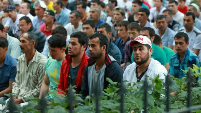 Мигрантов не хватает: Работодатели в шоке!