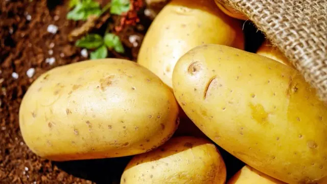 Как сохранить картофель свежим дольше: эффективные способы