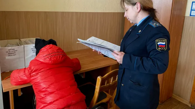 Алиментщица из Иванова арестована на 5 суток
