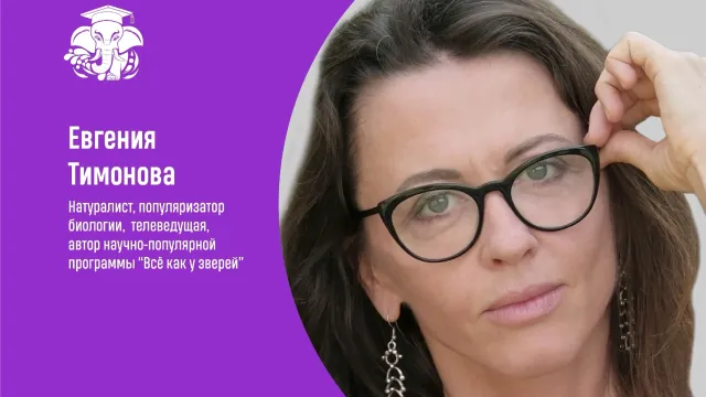 В Иванове финалом сезона «СЛОНа» стала лекция об искусственном освещении
