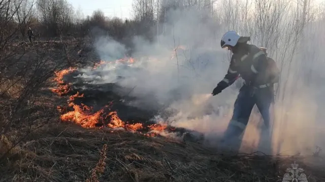 За сутки в Ивановской области спасатели выезжали на тушение травы 18 раз