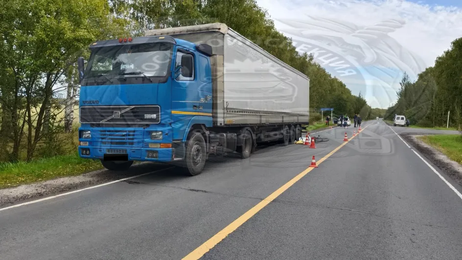 Грузовик Volvo насмерть сбил велосипедиста в Пучежском районе Грузовик Volvo насмерть сбил велосипедиста в Пучежском районе