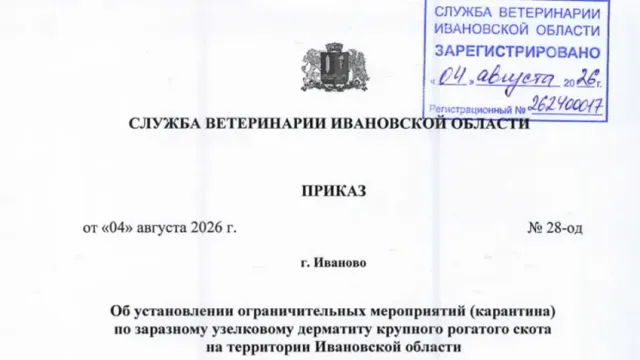 В Тейковском районе ввели карантин из-за нодулярного дерматита скота