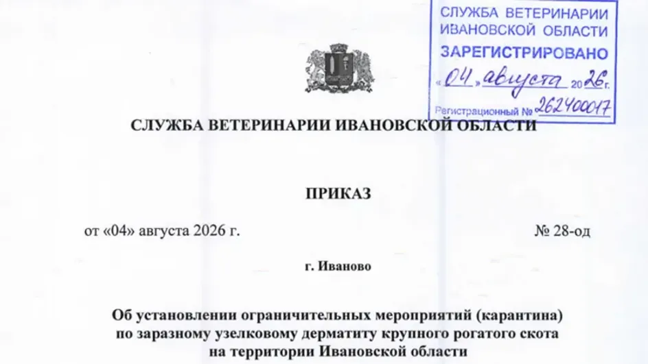 В Тейковском районе ввели карантин из-за нодулярного дерматита скота