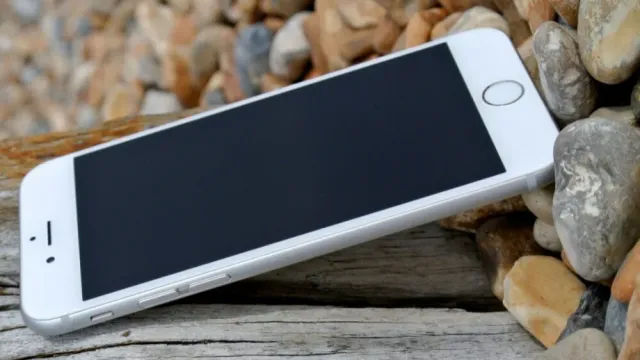 У бессовестной жительницы Вичуги арестовали iPhone