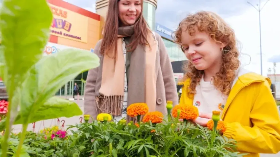 Фестиваль сада и огорода соберет более 45 производителей в Иванове