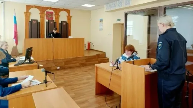 В Ивановской области виртуально арестован вор из Москвы