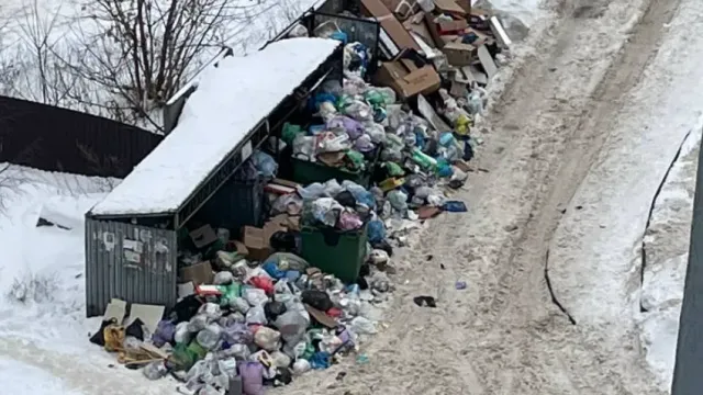 В Иванове из-за морозов могут возникнуть проблемы с вывозом мусора